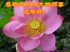 ֹ,ʯׯ󷨵ӹףʦ(21)