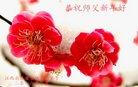 ֹ,󷨵ӹףʦ(20)