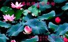 ֹ,󷨵ӹףʦ(20)