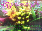 ֹ,㽭󷨵ӹףʦ(20)