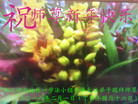 ֹ,㽭󷨵ӹףʦ(20)