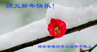 ֹ,ϴ󷨵ӹףʦ(27)