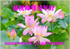 ֹ,󷨵ӹףʦ(19)