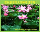ֹ,󷨵ӹףʦ(18)