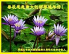 ֹ,󷨵ӹףʦ(20)