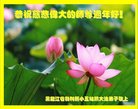 ֹ,󷨵ӹףʦ(20)