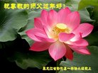 ֹ,󷨵ӹףʦ(20)