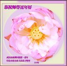 ֹ,󷨵ӹףʦ(22)