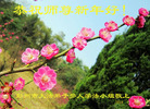ֹ,ɶ󷨵ӹףʦ(21)
