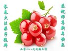 ֹ,󷨵ӹףʦ(20)