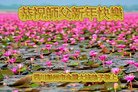 法轮功,成都大法弟子恭祝师尊新年好(18条)