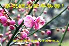 ֹ,ɶ󷨵ӹףʦ(18)