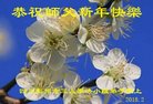 ֹ,ɶ󷨵ӹףʦ(18)