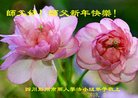 ֹ,ɶ󷨵ӹףʦ(18)