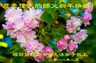 ֹ,ɶ󷨵ӹףʦ(18)