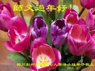 法轮功,成都大法弟子恭祝师尊新年好(18条)