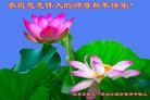 ֹ,󷨵ӹףʦ(18)