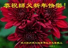 法轮功,成都大法弟子恭祝师尊新年好(18条)