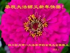 ֹ,ɶ󷨵ӹףʦ(18)