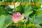 ֹ,ɶ󷨵ӹףʦ(21)