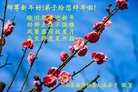 ֹ,ɽ󷨵ӹףʦ(19)