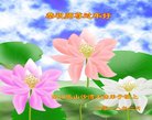 ֹ,Ĵ󷨵ӹףʦ(21)