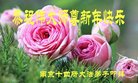 ֹ,մ󷨵ӹףʦ(20)