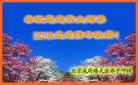 ֹ,󷨵ӹףʦ(18)