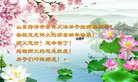 法轮功,山东大法弟子恭祝师尊过年好(21条)