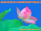 ֹ,󷨵ӹףʦ(18)