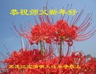 ֹ,󷨵ӹףʦ(18)