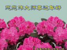 ֹ,󷨵ӹףʦ(19)