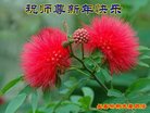 ֹ,󷨵ӹףʦ(19)