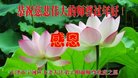 ֹ,󷨵ӹףʦ(20)