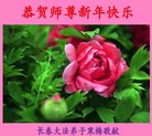 ֹ,󷨵ӹףʦ(18)