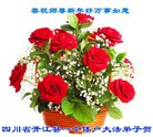 ֹ,Ĵ󷨵ӹףʦ(21)