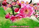 ֹ,ɶ󷨵ӹףʦ(19)