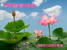 ֹ,󷨵ӹףʦ(20)