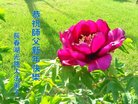 ֹ,󷨵ӹףʦ(20)