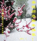 ֹ,ɶ󷨵ӹףʦ(19)