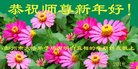 ֹ,ɶ󷨵ӹףʦ(19)