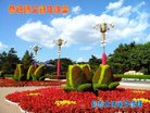 ֹ,󷨵ӹףʦ(20)