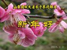 ֹ,Ϋ󷨵ӹףʦ(24)
