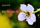 ֹ,󷨵ӹףʦ(20)