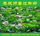 法轮功,大庆大法弟子恭祝师尊新年好(21条)