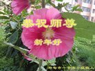 ֹ,д󷨵ӹףʦ(23)