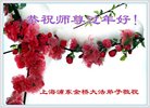 ֹ,Ϻ󷨵ӹףʦ(20)