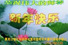ֹ,󷨵ӹףʦ(19)