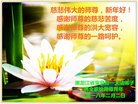 法轮功,黑龙江大法弟子恭祝师尊新年好(19条)