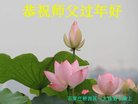 ֹ,ʯׯ󷨵ӹףʦ(25)